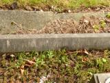 image of grave number 808511